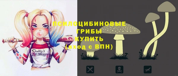 стаф Белокуриха