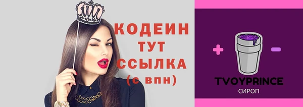 стаф Белокуриха