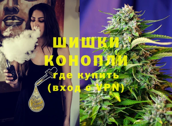 стаф Белокуриха