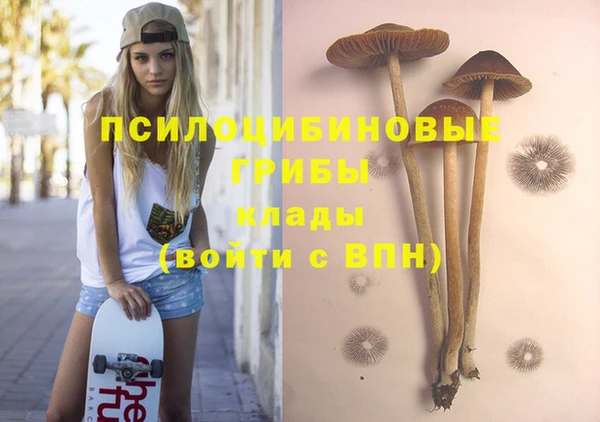 молекула духа Белоозёрский